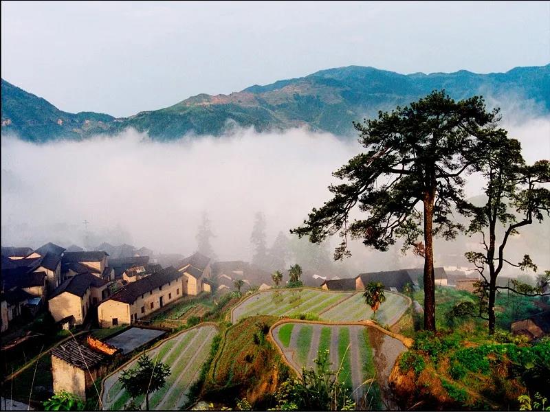 微信圖片_20200610153641.jpg 微信圖片_20200610153641.jpg